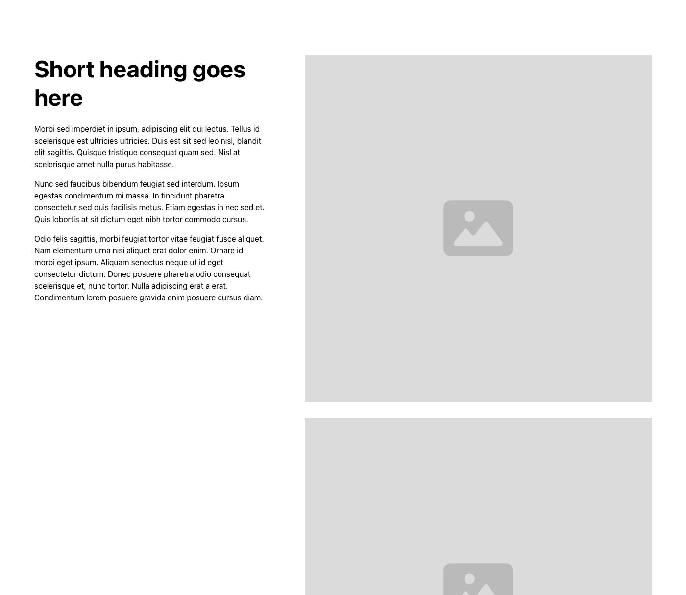 Preview of Content 5