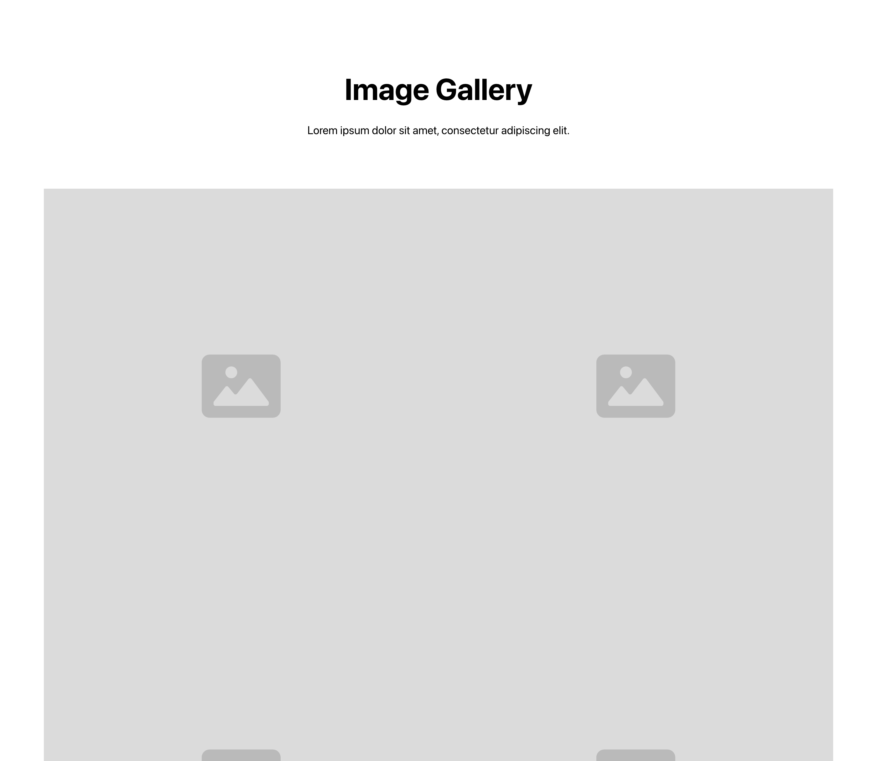 Preview of Gallery 12