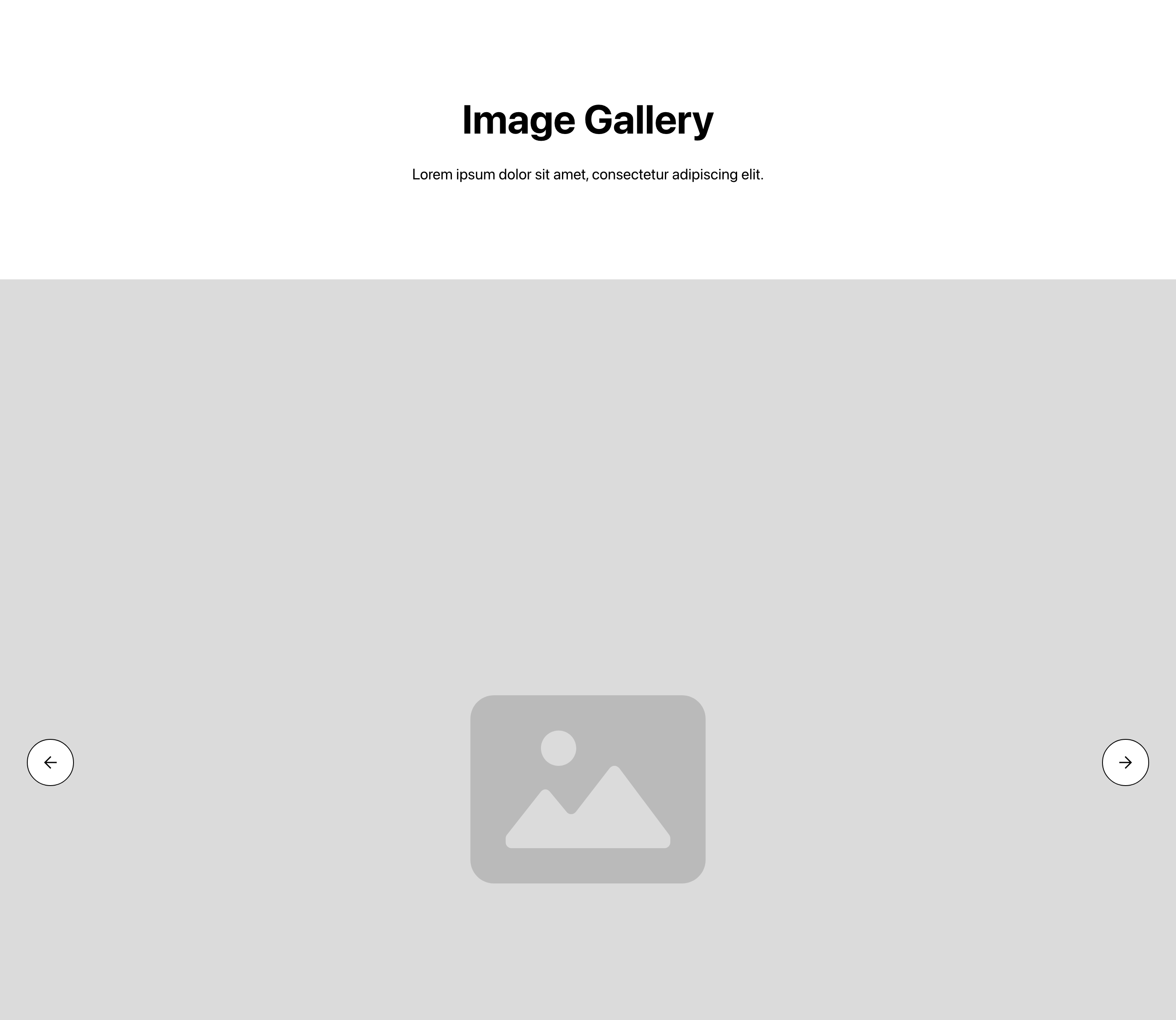 Preview of Gallery 13