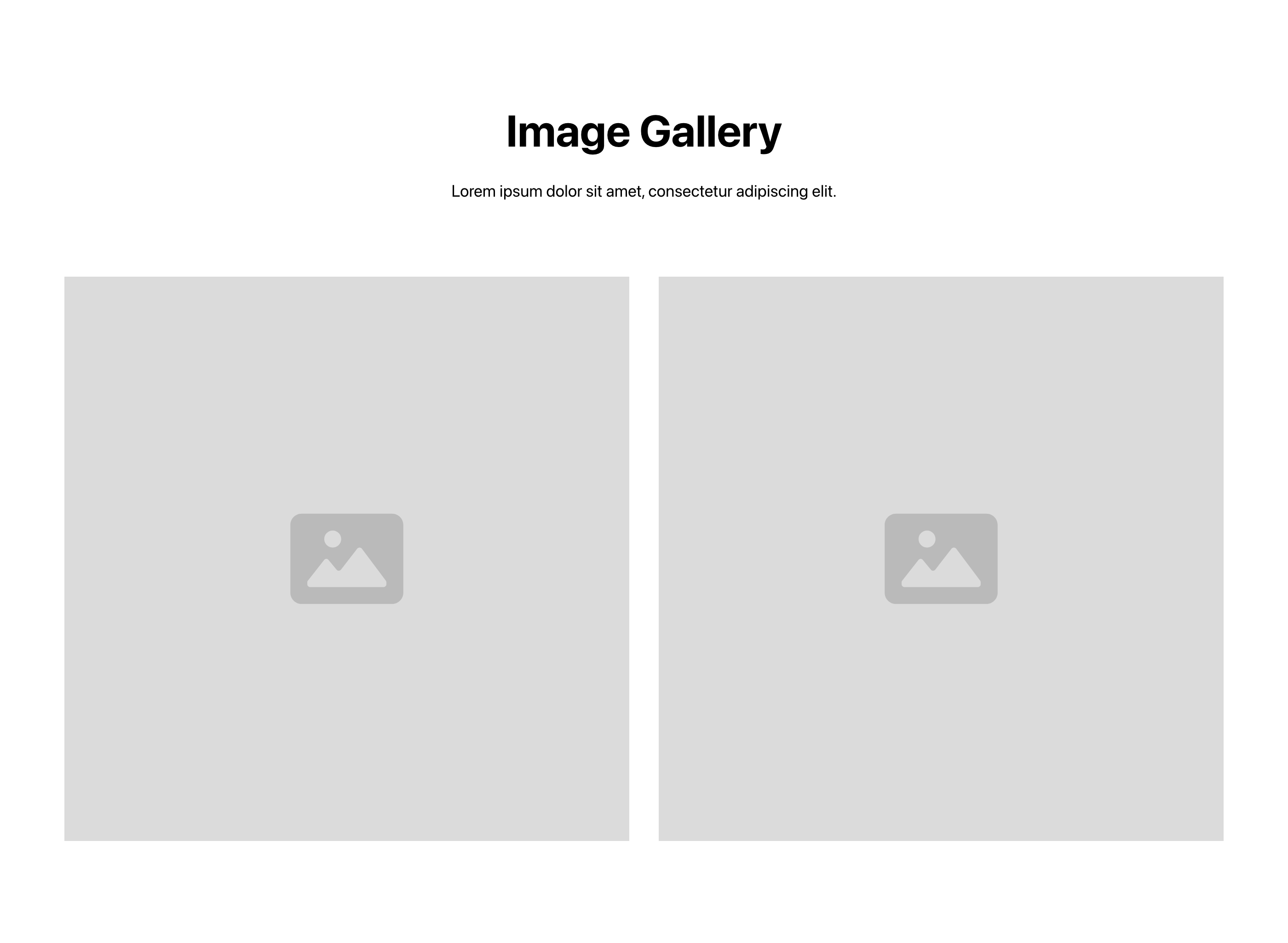 Preview of Gallery 2