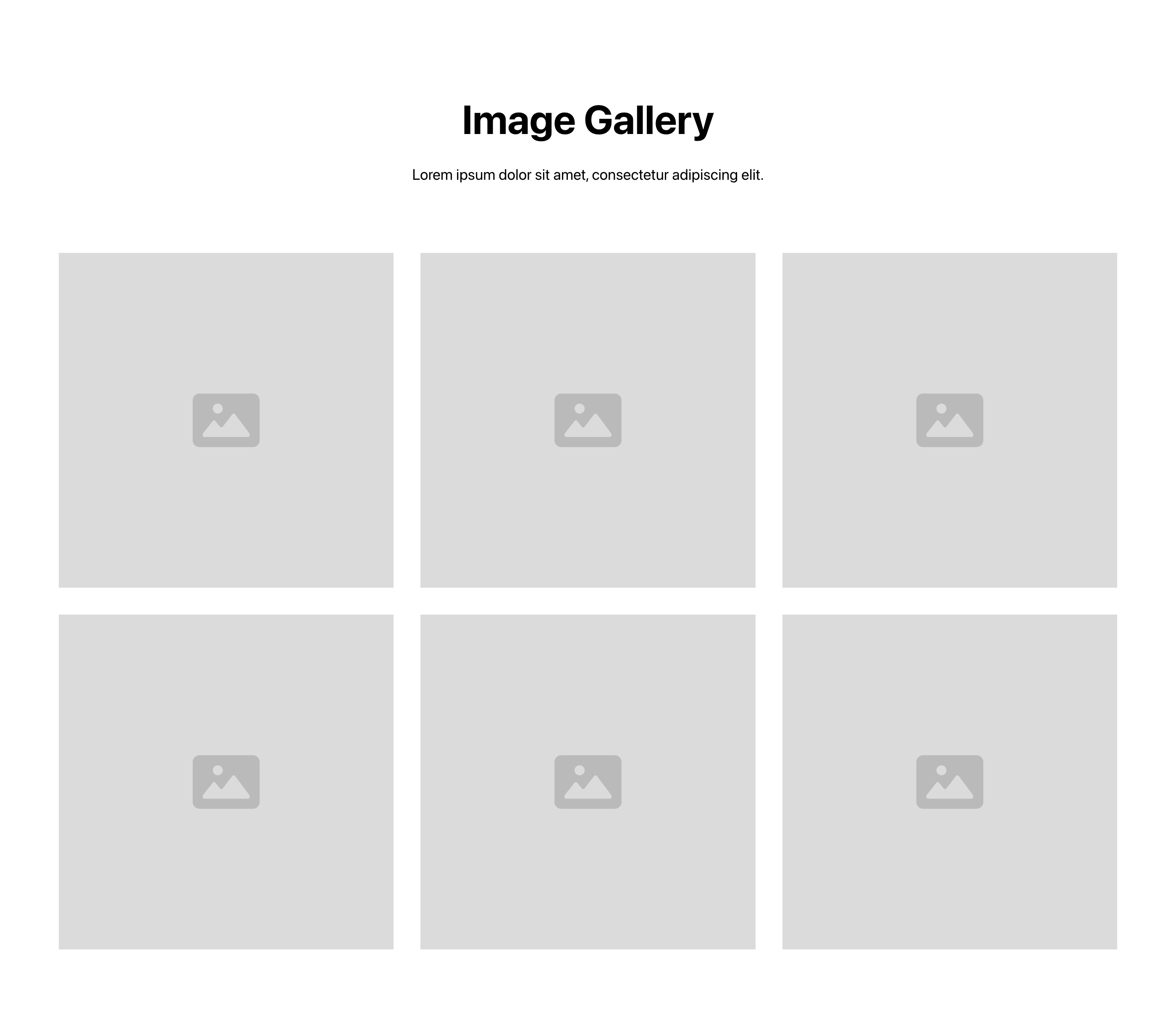 Preview of Gallery 5