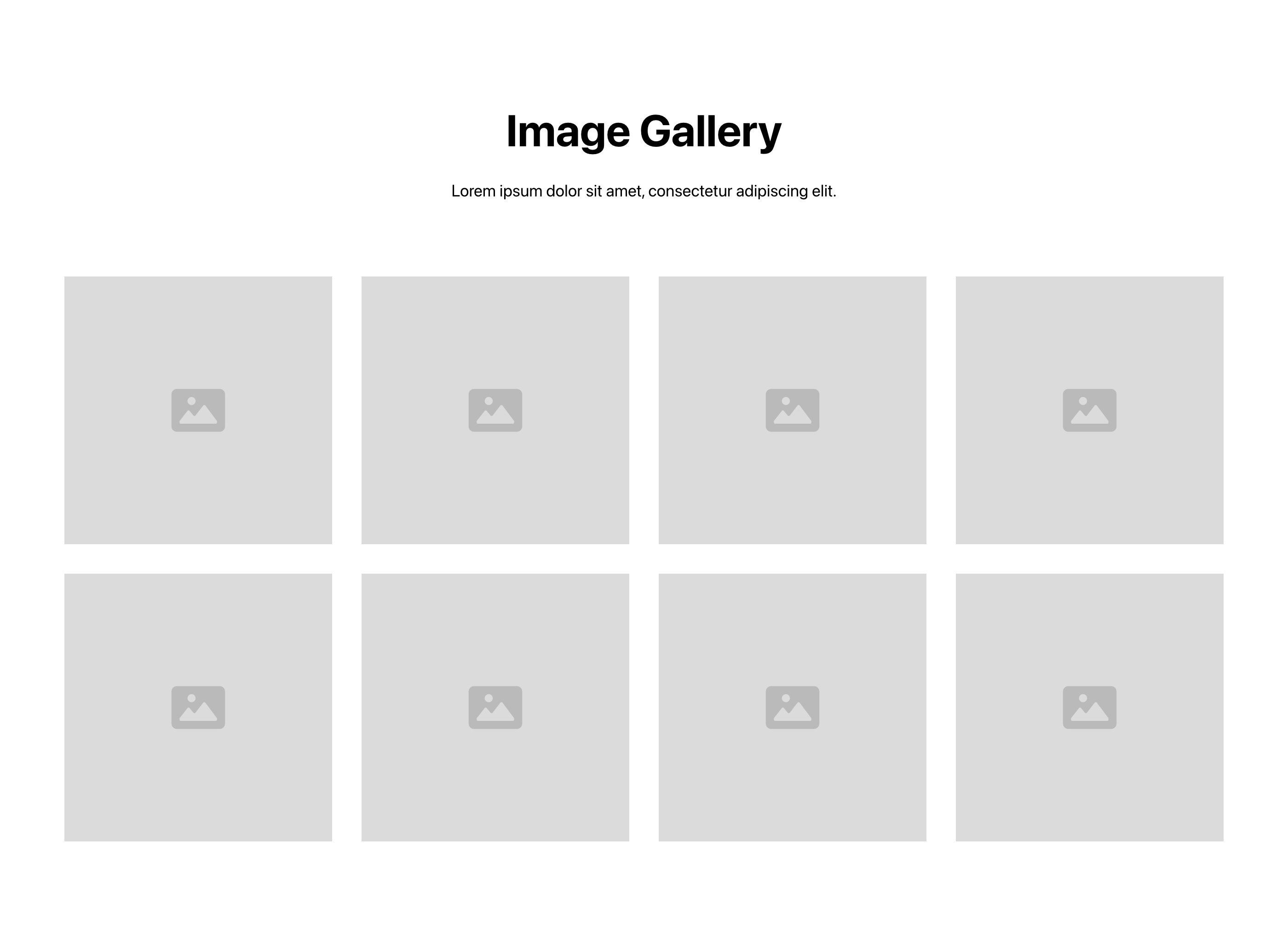 Preview of Gallery 6