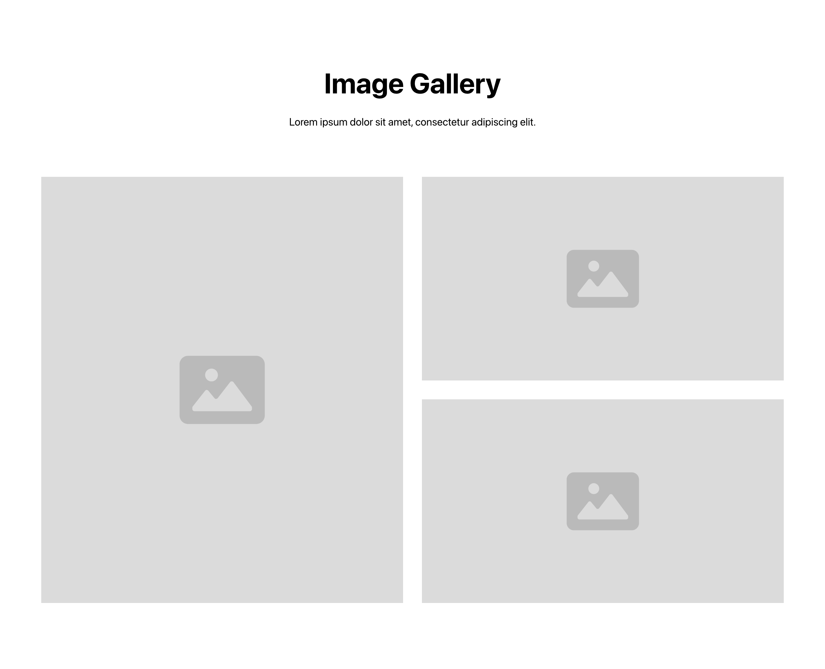 Preview of Gallery 7