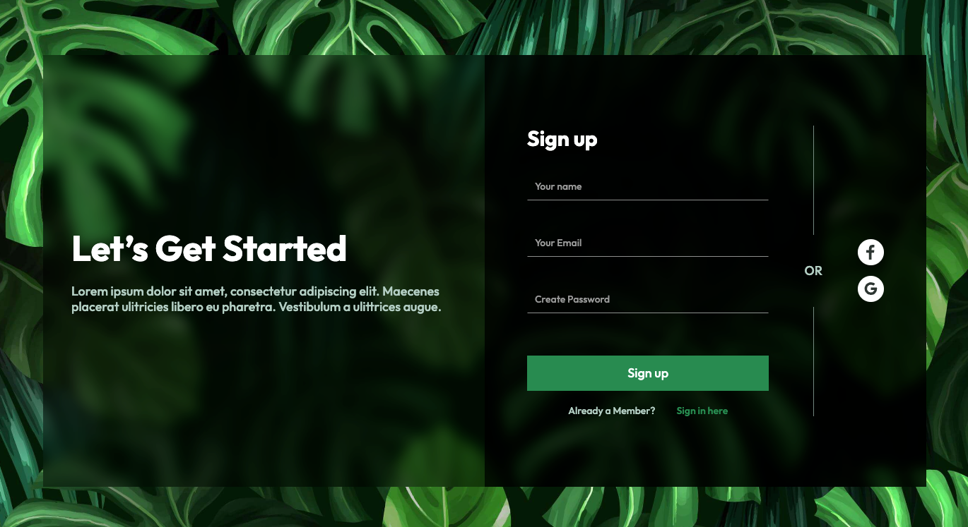 Preview of Webflow Signup Form