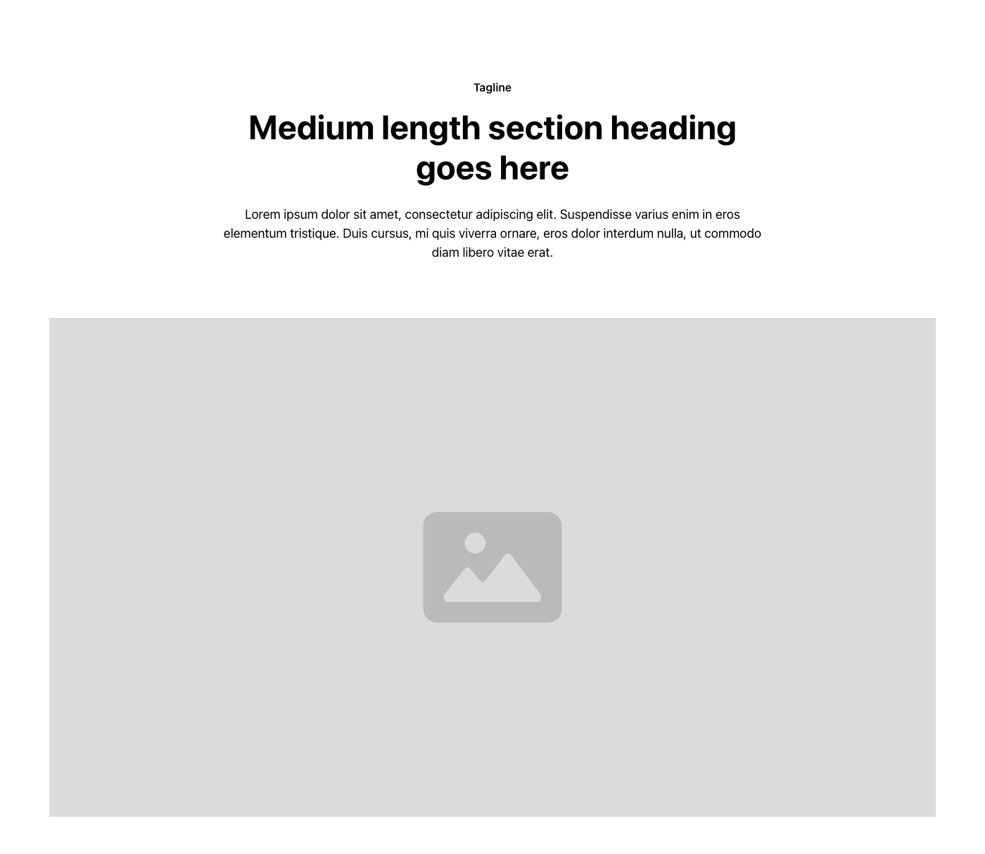 Preview of Layout 407