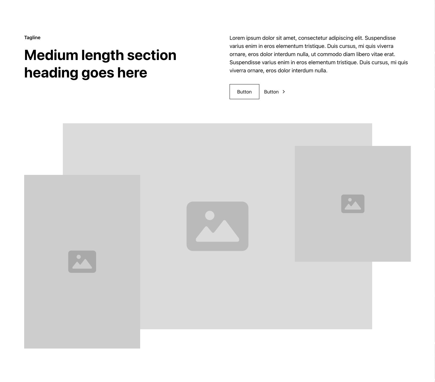Preview of Layout 481