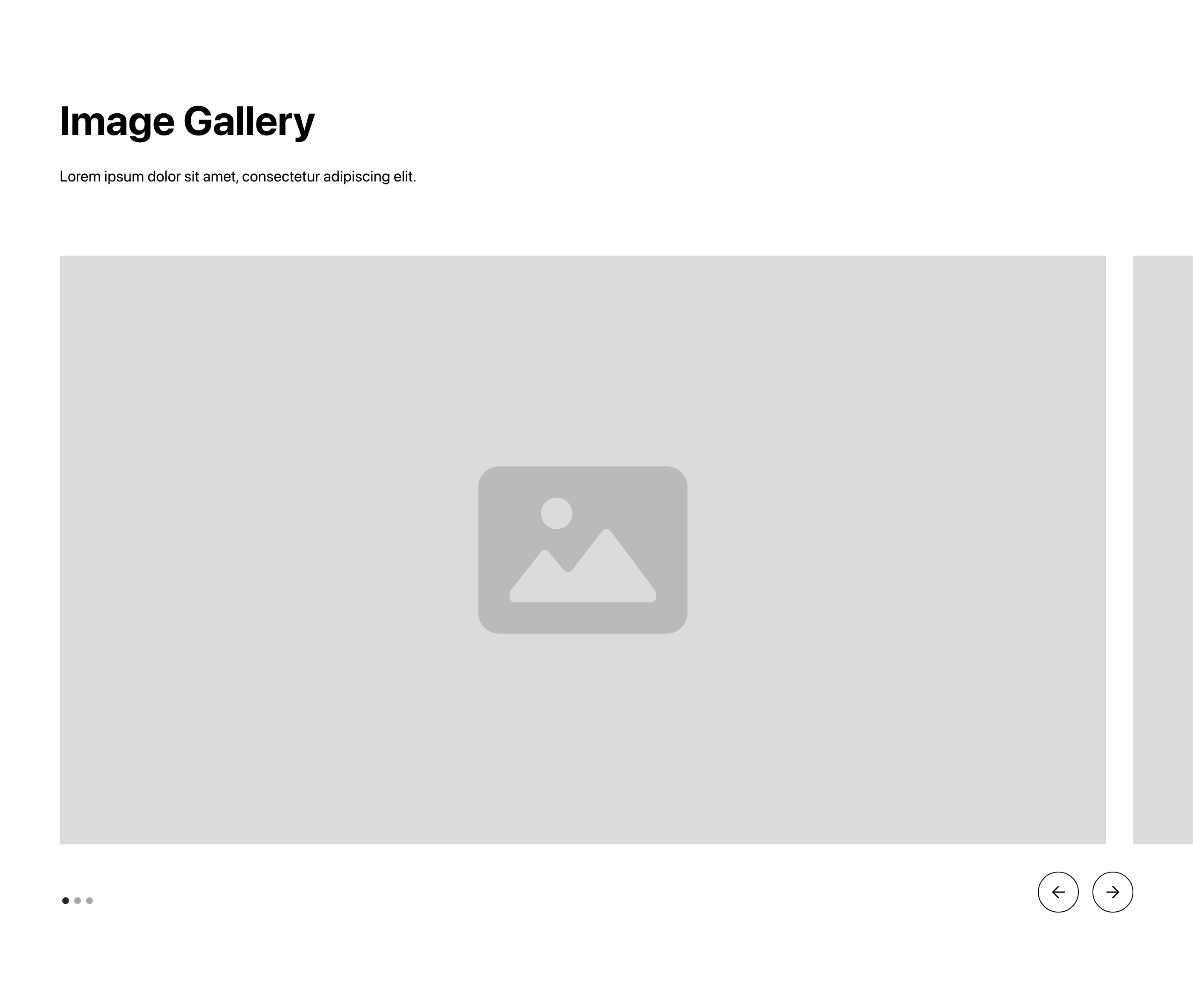 Preview of Gallery 20