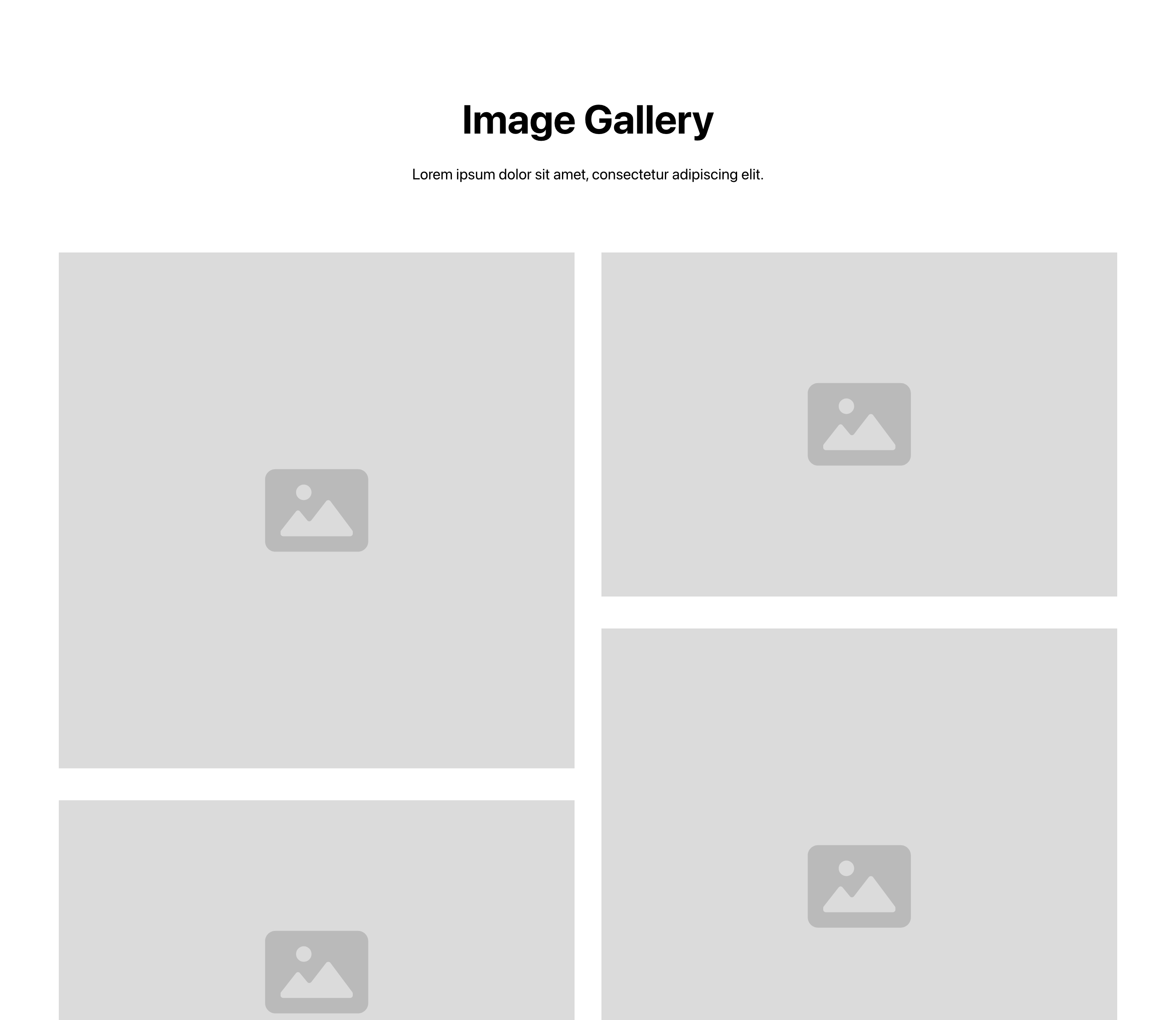 Gallery 8