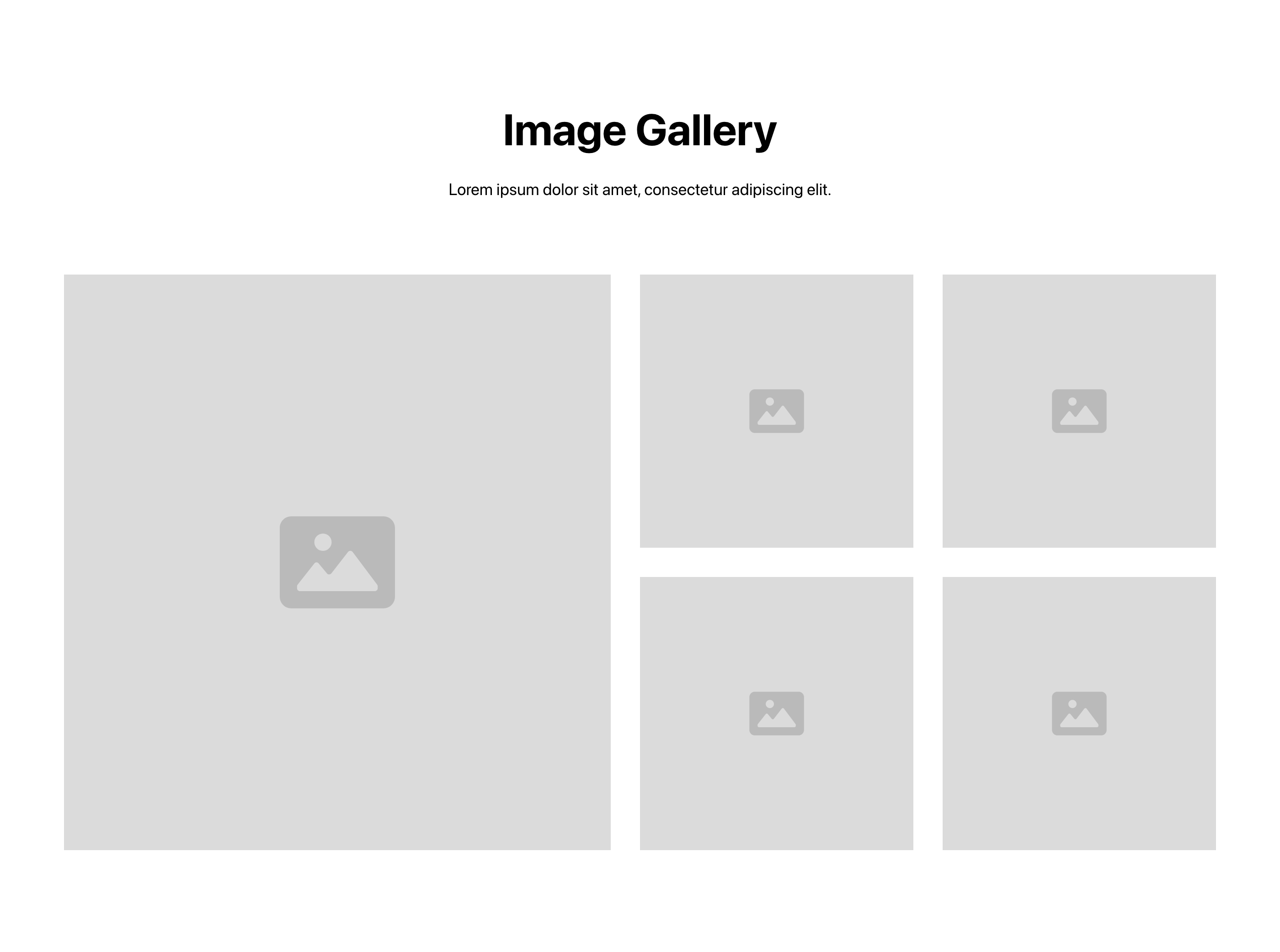 Preview of Gallery 9