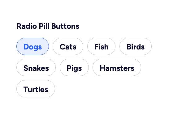 Preview of Radio Pill Buttons
