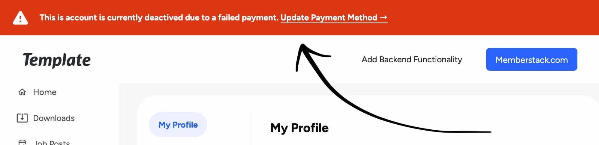 Preview of Failed Payment Banner
