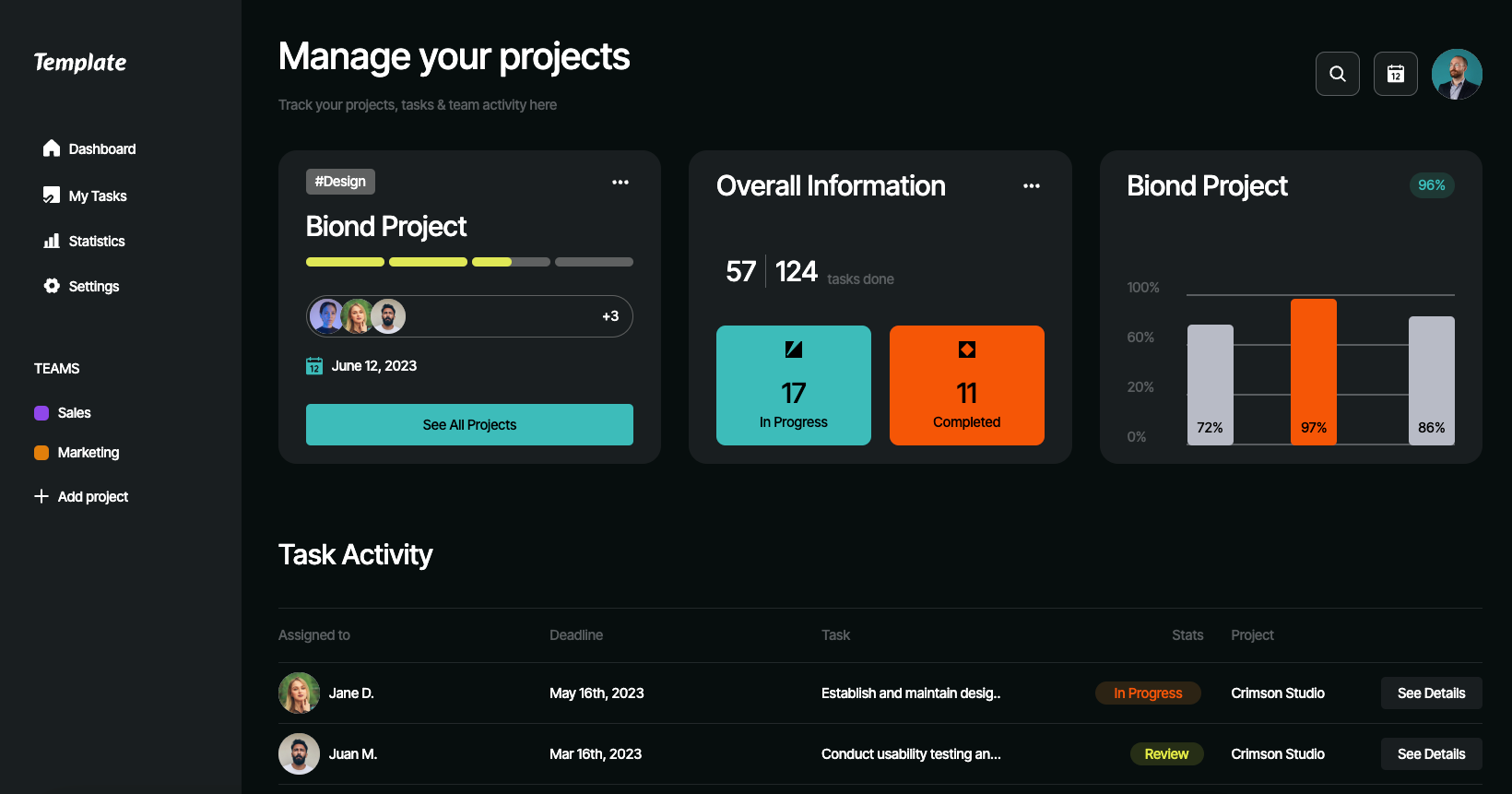 Preview of Project Status Dashboard