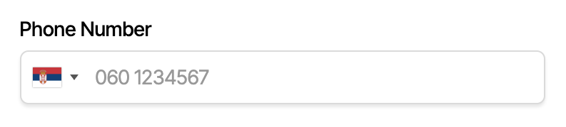 Preview of International Phone Number Input