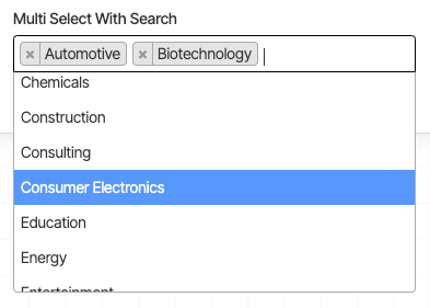 Preview of Multi Select Field With Search